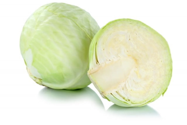 تصویر 4 از بهترین کلم سفید خام + قیمت خرید عالی